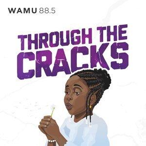 Logo for Through the Cracks